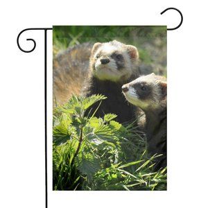 SKU-17-Wildlife Ferret